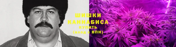 гашик Нея