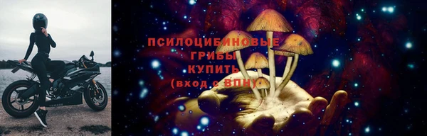гашик Нея
