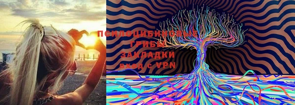 спайс Нефтекумск
