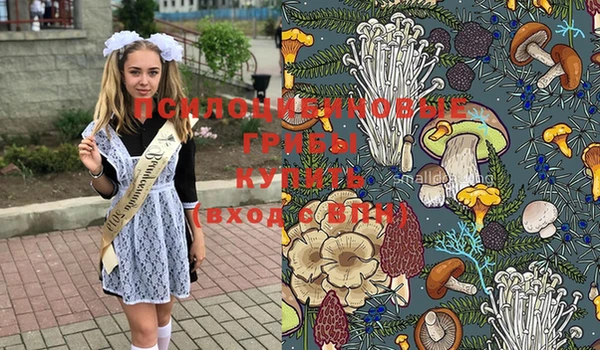 спайс Нефтекумск