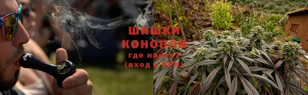 гашик Нея