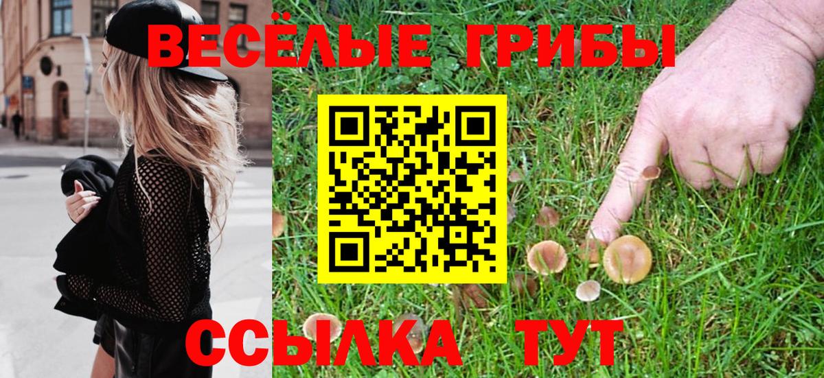 Псилоцибиновые грибы Cubensis Балабаново