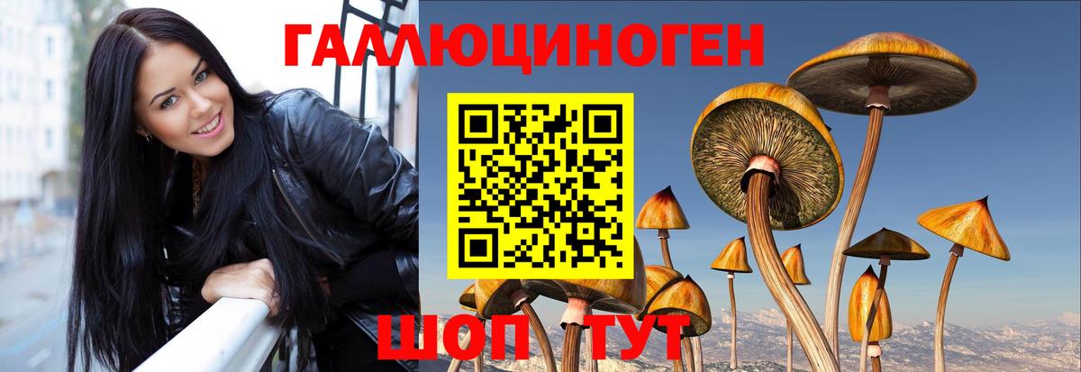 Псилоцибиновые грибы мицелий  продажа наркотиков  Балабаново 